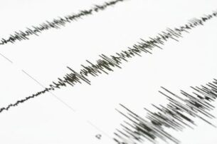 Google Panda e Google Shopping in Italia, un terremoto che cambia la geografia dell’e-commerce nostrano