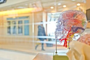 Cosa sono i bias cognitivi e come si usano nel marketing? 9 esempi di “scorciatoie cerebrali” che condizionano le decisioni d’acquisto
